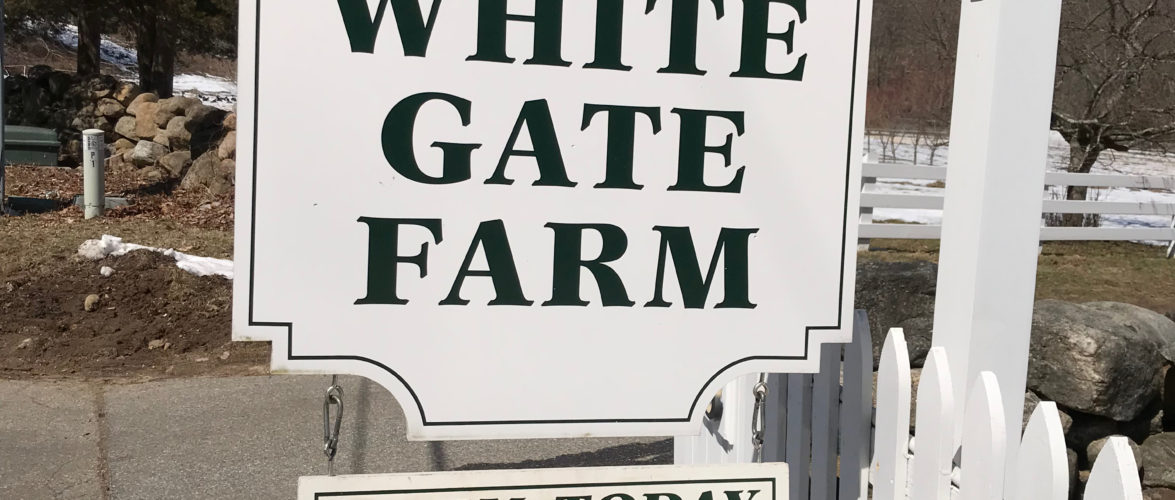 Visit to White Gate Farm in East Lyme, Connecticut_03.24.18